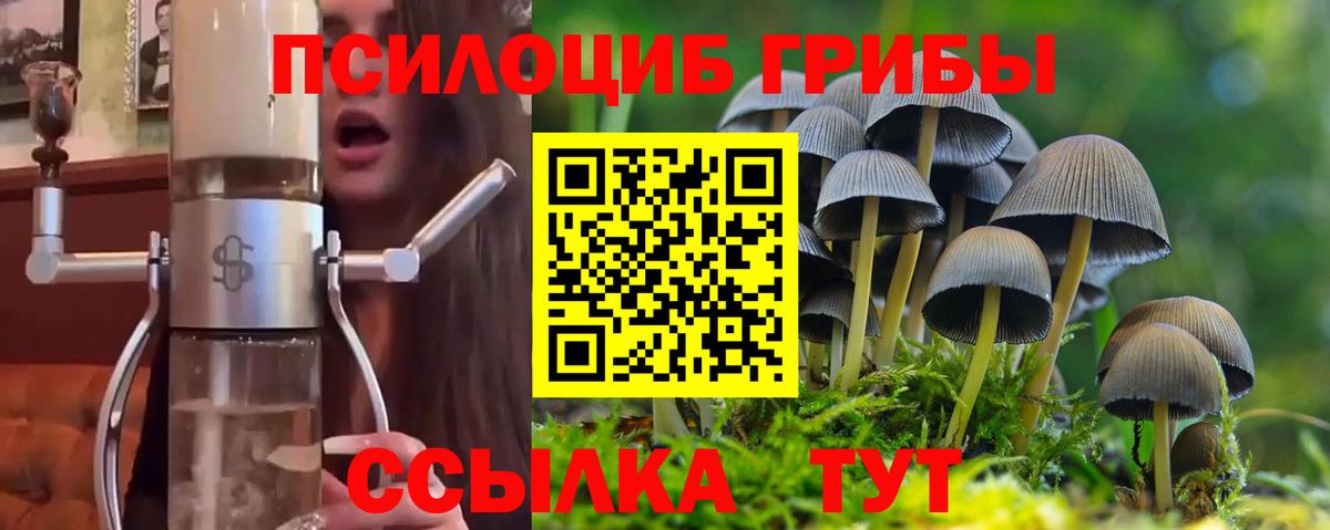 Галлюциногенные грибы MAGIC MUSHROOMS Гудермес